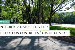 Article - réintégrer la nature en ville contre la chaleur