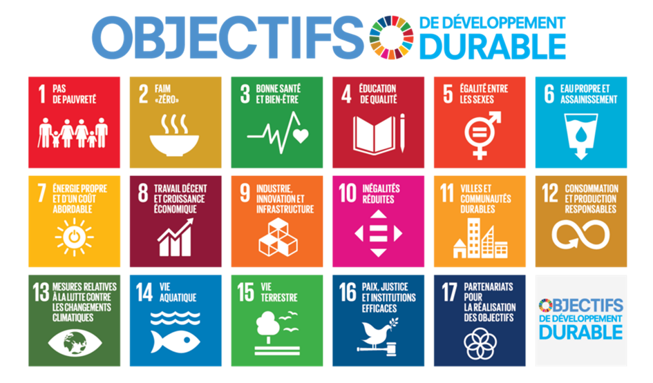 Image des 17 objectifs de développement durables fixés par l'Unicef 